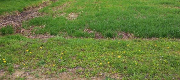  Land in Tobaj, Austria No. 163102 3