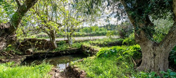 Casa T4 em São Bartolomeu de Messines, Portugal N.º 102121 21