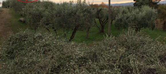 3-Zimmer Haus in Terranuova Bracciolini, Italy, Nr. 224870 7