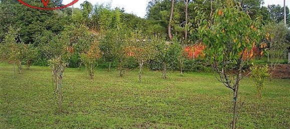 3-Zimmer Haus in Terranuova Bracciolini, Italy, Nr. 224870 22