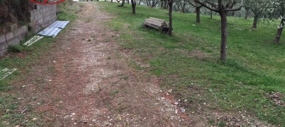 3-Zimmer Haus in Terranuova Bracciolini, Italy, Nr. 224870 6