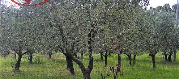 3-Zimmer Haus in Terranuova Bracciolini, Italy, Nr. 224870 23