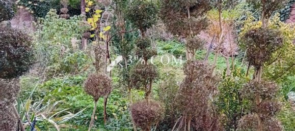 3 غرف نوم منزل في Boersch, France رقم 222196 12