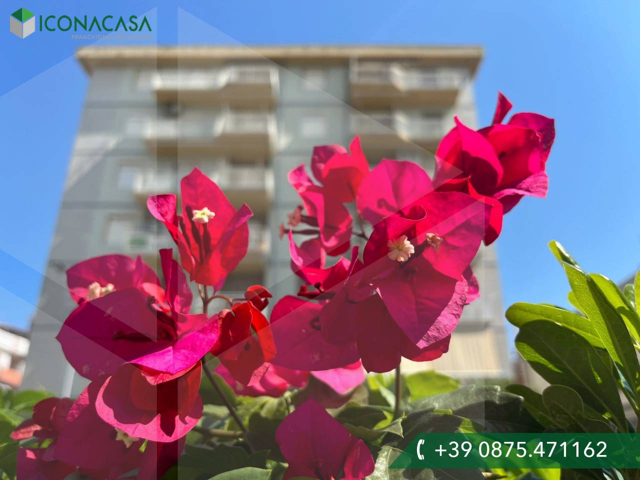 3-salle Penthouse à Campomarino, Italy No. 24983