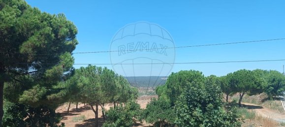 2 Schlafzimmer Haus in Vila Ruiva, Portugal, Nr. 44763 11