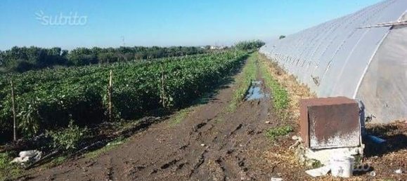 4000m² Land in Acerra, Italy No. 167380 4