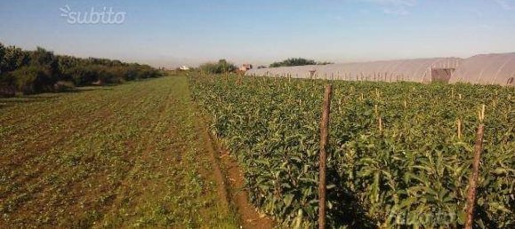 4000m² Land in Acerra, Italy No. 167380 3