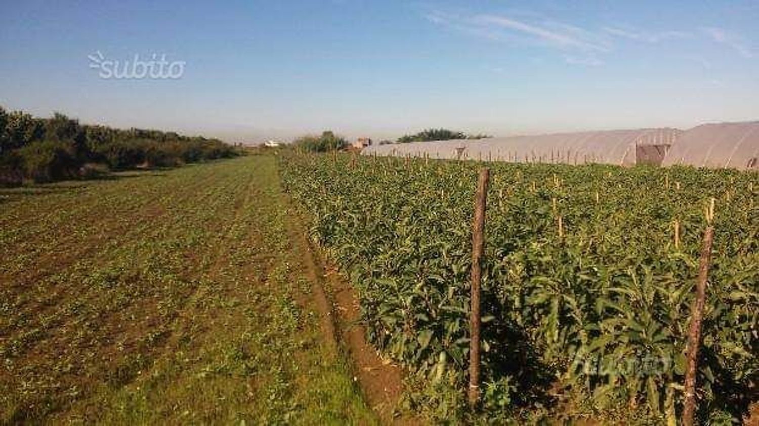 4000m² Land in Acerra, Italy No. 167380