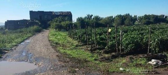 4000m² Land in Acerra, Italy No. 167380 2