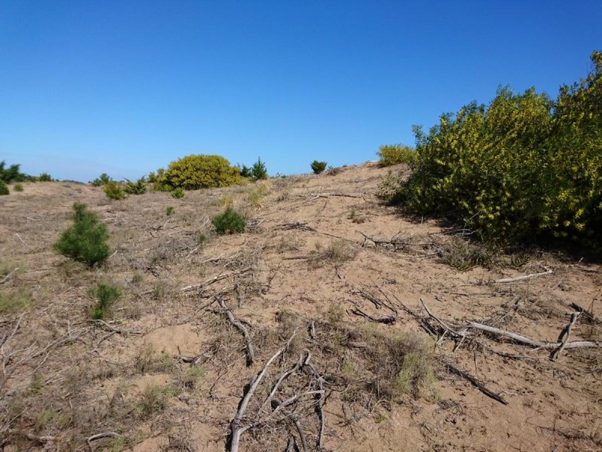  Land in Mar del Plata, Argentina No. 122184