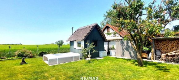 5 rooms House in Neusiedl am See, Austria No. 162282 14