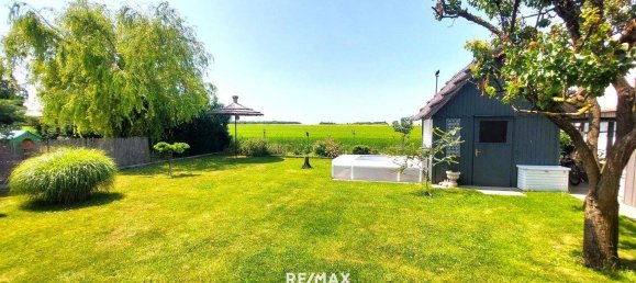 5 rooms House in Neusiedl am See, Austria No. 162282 13
