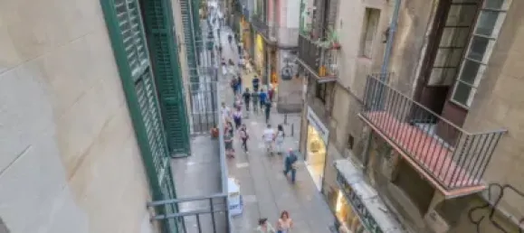 4 bedrooms Apartment in Ciutat Vella, Spain No. 142995 20