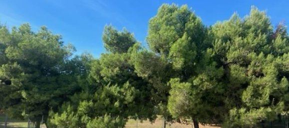 10غرفة شقة في Civitanova Marche, Italy رقم 156708 7