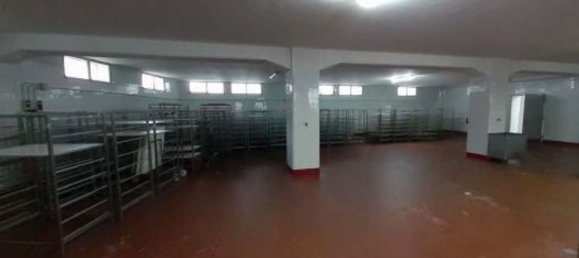  مستودع في Ozieri, Italy 2443متر مربع رقم 375066 10