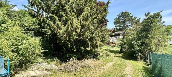 3 rooms Land in Neusiedl am See, Austria No. 165975 19