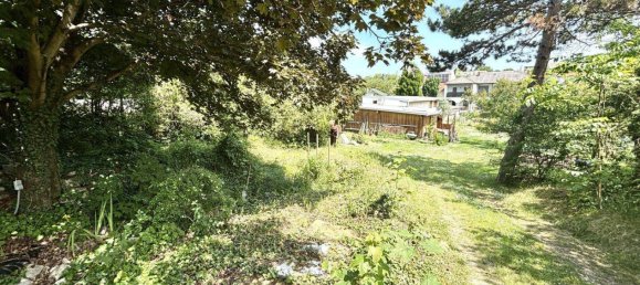 3 rooms Land in Neusiedl am See, Austria No. 165975 18