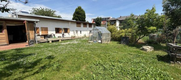 3 rooms Land in Neusiedl am See, Austria No. 165975 2
