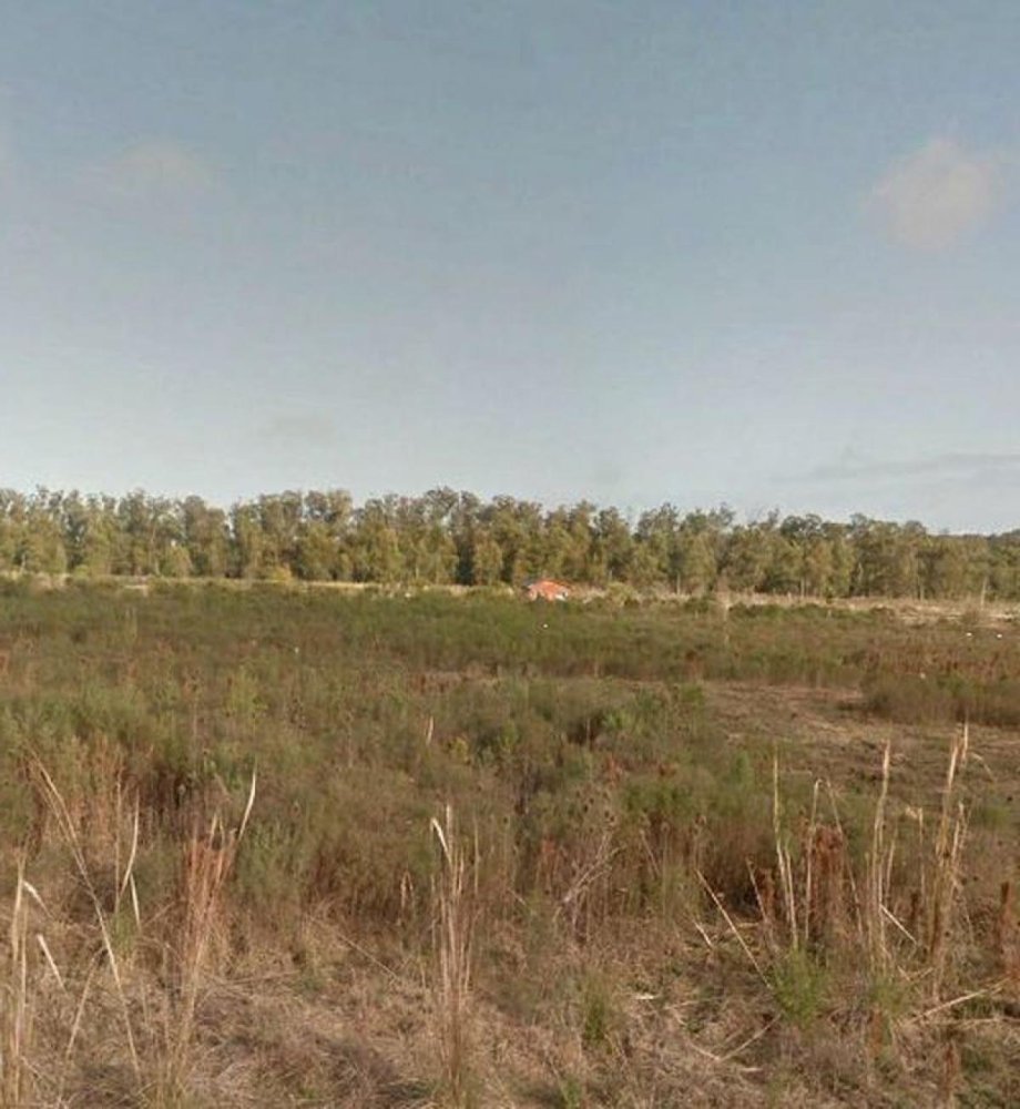 Grundstück in Maldonado, Uruguay, Nr. 14214