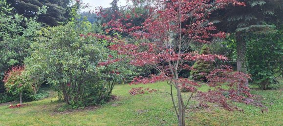 45m² Land in Prigglitz, Austria No. 112790 4