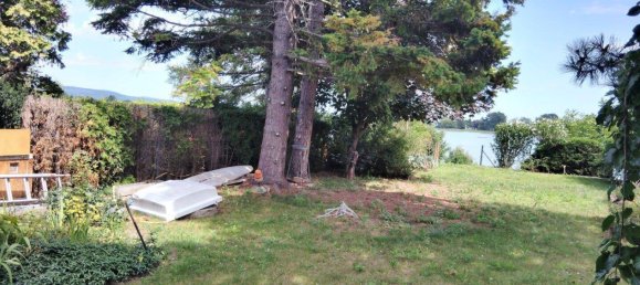 2 rooms Bungalow in Trausdorf an der Wulka, Austria No. 226428 16