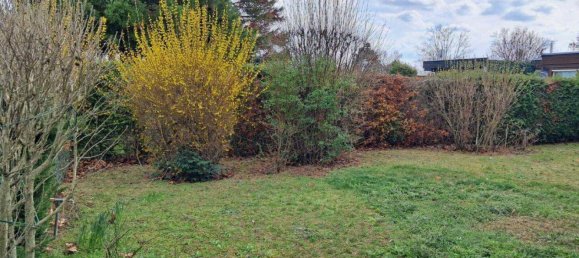 2 rooms Bungalow in Trausdorf an der Wulka, Austria No. 226428 14