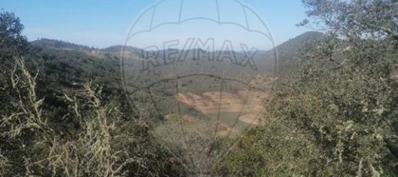 17000m² Land in Santana da Serra, Portugal No. 43216 8