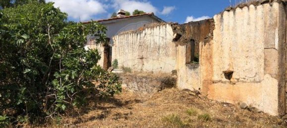 17000m² Land in Santana da Serra, Portugal No. 43216 7