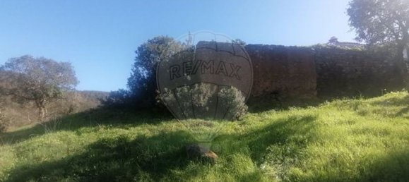 17000m² Land in Santana da Serra, Portugal No. 43216 4