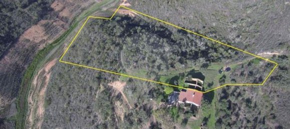 17000m² Land in Santana da Serra, Portugal No. 43216 2