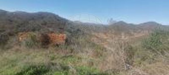 17000m² Land in Santana da Serra, Portugal No. 43216 3