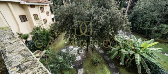 Villa T6 em Fiumicino, Italy N.º 273974 17