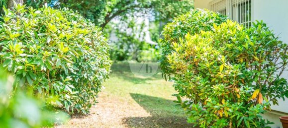 5 rooms House in Freiburg im Breisgau, Germany No. 354950 4