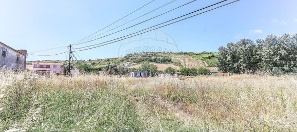 1 bedroom House in Torres Vedras, Portugal No. 52315 10