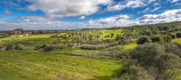 6 Schlafzimmer Haus in Setubal, Portugal, Nr. 146417 24