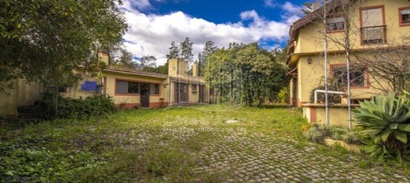 6 Schlafzimmer Haus in Setubal, Portugal, Nr. 146417 25