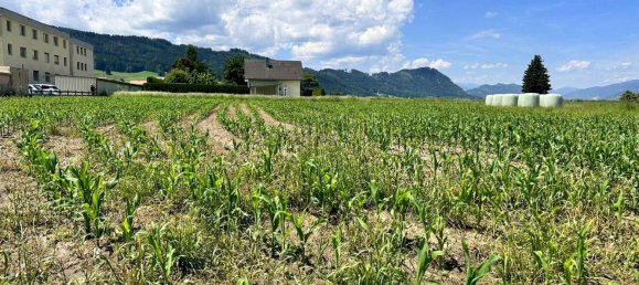 Terrain à Weisskirchen in Steiermark, Austria No. 164374 5