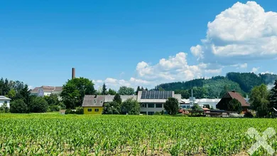 Terrain à Weisskirchen in Steiermark, Austria No. 164374