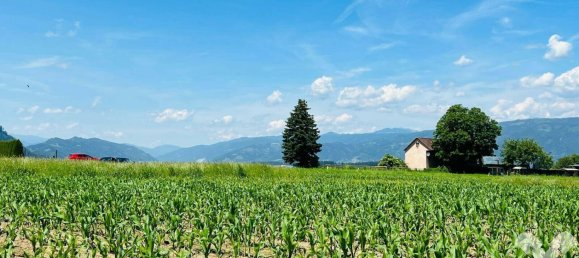 Terrain à Weisskirchen in Steiermark, Austria No. 164374 2