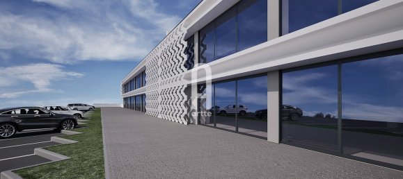 3790m² Warehouse in Esgueira, Portugal No. 66218 4