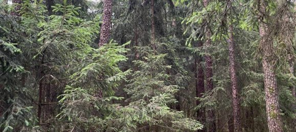 Земельный участок в Бавария, Германия № 238250 2