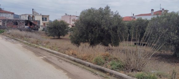 1305m² Hotel for sale in Polygyros, Chalkidiki, Central Macedonia, Macedonia and Thrace, Greece № 2182 10