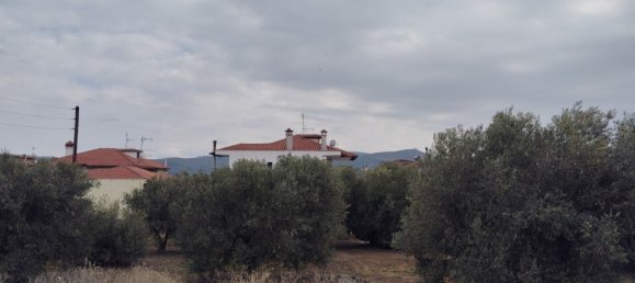 1305m² Hotel for sale in Polygyros, Chalkidiki, Central Macedonia, Macedonia and Thrace, Greece № 2182 11