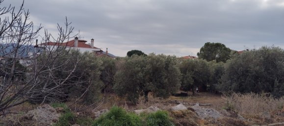1305m² Hotel for sale in Polygyros, Chalkidiki, Central Macedonia, Macedonia and Thrace, Greece № 2182 12