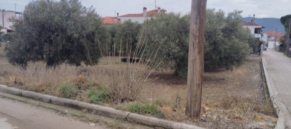 1305m² Hotel for sale in Polygyros, Chalkidiki, Central Macedonia, Macedonia and Thrace, Greece № 2182 2