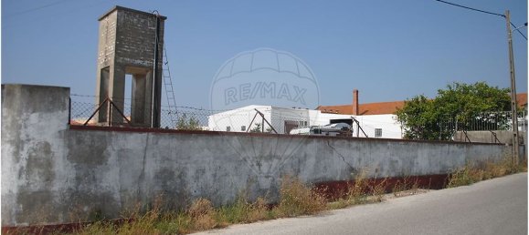 4200m² Commercial property in Montijo, Portugal No. 57603 5