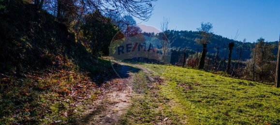 3 bedrooms House in Amares, Portugal No. 85552 6