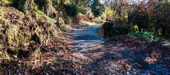 3 bedrooms House in Amares, Portugal No. 85552 10