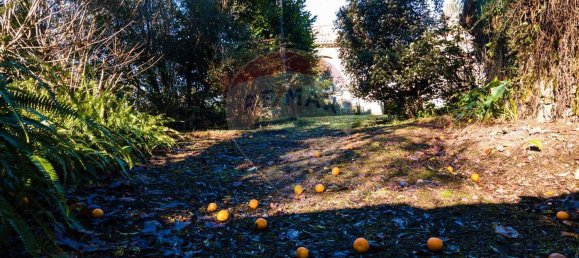 3 bedrooms House in Amares, Portugal No. 85552 24