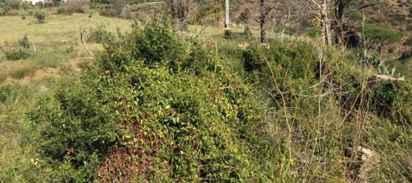 استوديو في Messina, Italy رقم 145953 46